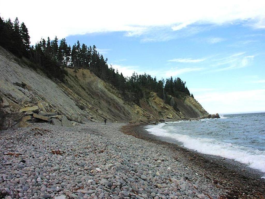 Гостевой дом Breton Cove Farmhouse Indian Brook Экстерьер фото